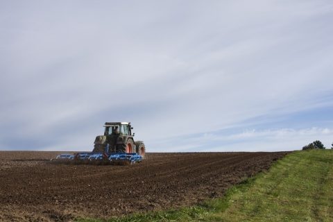 PIB da agropecuária deve crescer até 4% em 2020