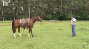 TV UC – Ganhe concentração antes de montar