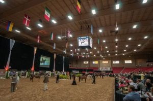 Coronavírus: Arabian Breeders World Cup 2020 é cancelada