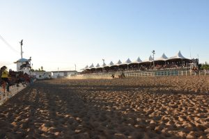 Campeonato Portal Vaquejada realiza etapa no Parque Quandú