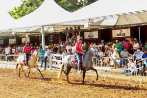 Exposição Brasileira do Criador 2021 é confirmada