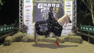 Veri Real conquista a 1ª fivela do Grand Prix do Haras Raphaela