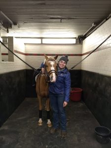 Especial Dia da Mulher: conheça Isabela Padovan, tratadora de cavalos