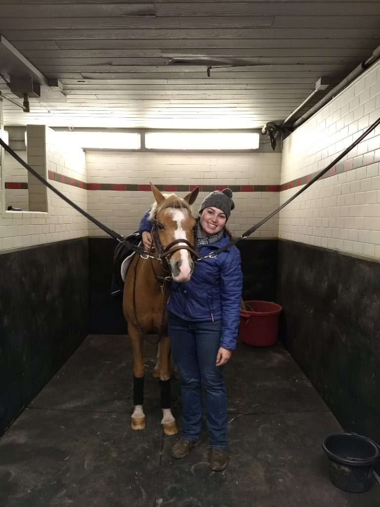 Especial Dia da Mulher: conheça Isabela Padovan, tratadora de cavalos