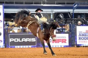 Jr American Rodeo tem campeões consagrados em Arlington