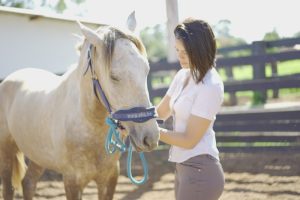 Saiba os diferenciais do 1º Leilão de Cavalos de Sela e Passeio