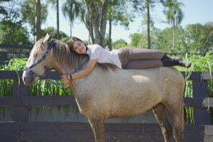 Coudelaria Aguilar promove 1º Leilão Virtual de Cavalos de Sela e Passeio