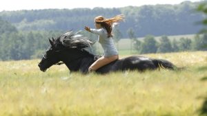 Ostwind – Livres como o vento