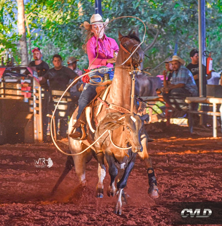 Loura-corda De Um Belo Cavalo Palomino Para a Competição De