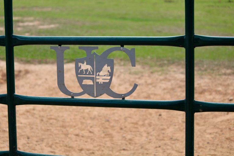 UC lança curso online de gestão de centros equestres