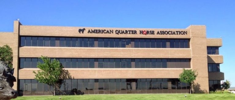 Você sabe como nasceu a AQHA?