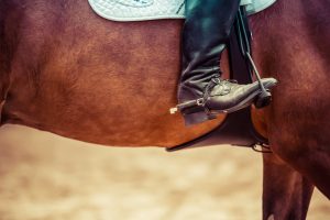 COVID-19: confira melhores práticas para as atividades equestres