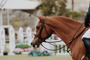 Coronavírus: CBH e FPH decidem pelo cancelamento de eventos