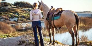 Saiba como motivar um cavalo preguiçoso