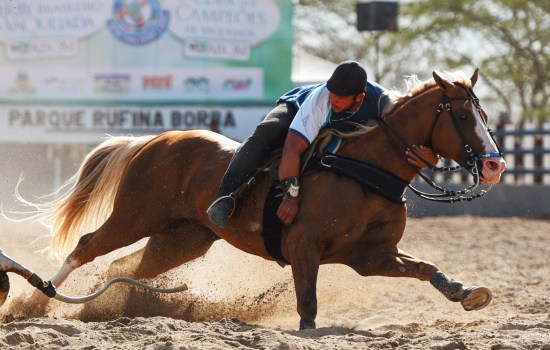 Vem aí 11º Congresso & Derby e 4ª Copa dos Campeões de Vaquejada