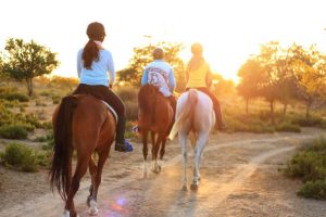 15 itens necessários para um passeio a cavalo por trilha