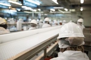 SIF garante a manutenção do abastecimento de produtos de origem animal