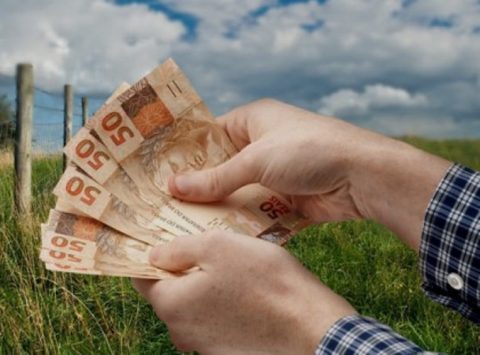 Dívida de produtores terá ajuda do BNDES