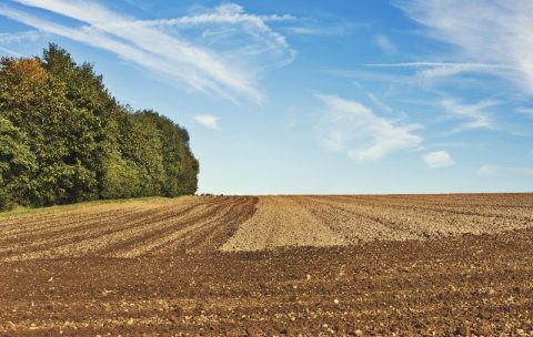 Agro exporta US$ 9,2 bilhões em março