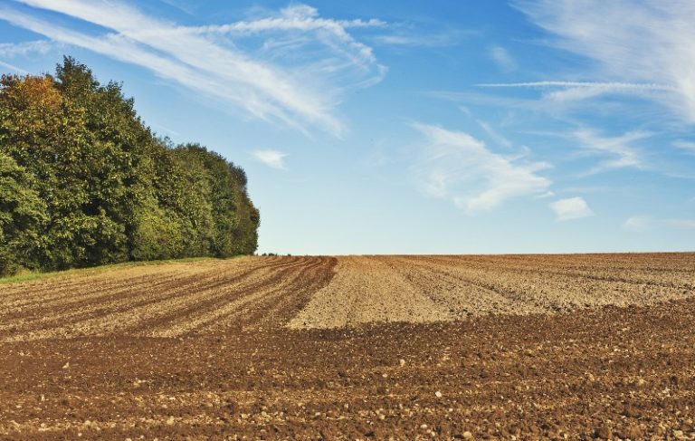 Agro exporta US$ 9,2 bilhões em março