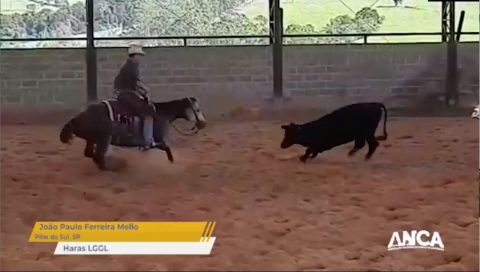 ANCA lança campanha #ApartadosMasApartando