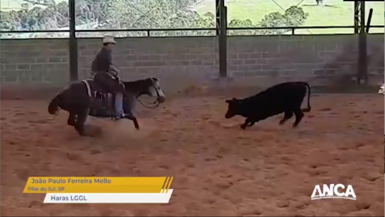 ANCA lança campanha #ApartadosMasApartando