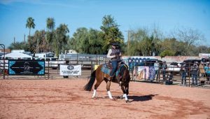 Art Of The Cowgirl celebra a mulher vaqueira de forma especial