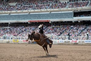 Calgary Stampede cancela sua edição 2020