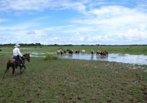 Cavalgada na Amazônia – Alter do Chão e Santarém