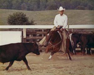 Conheça a história da NCHA Triple Crown