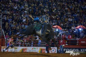 Festa do Peão de Barretos transmite rodeio 24 horas