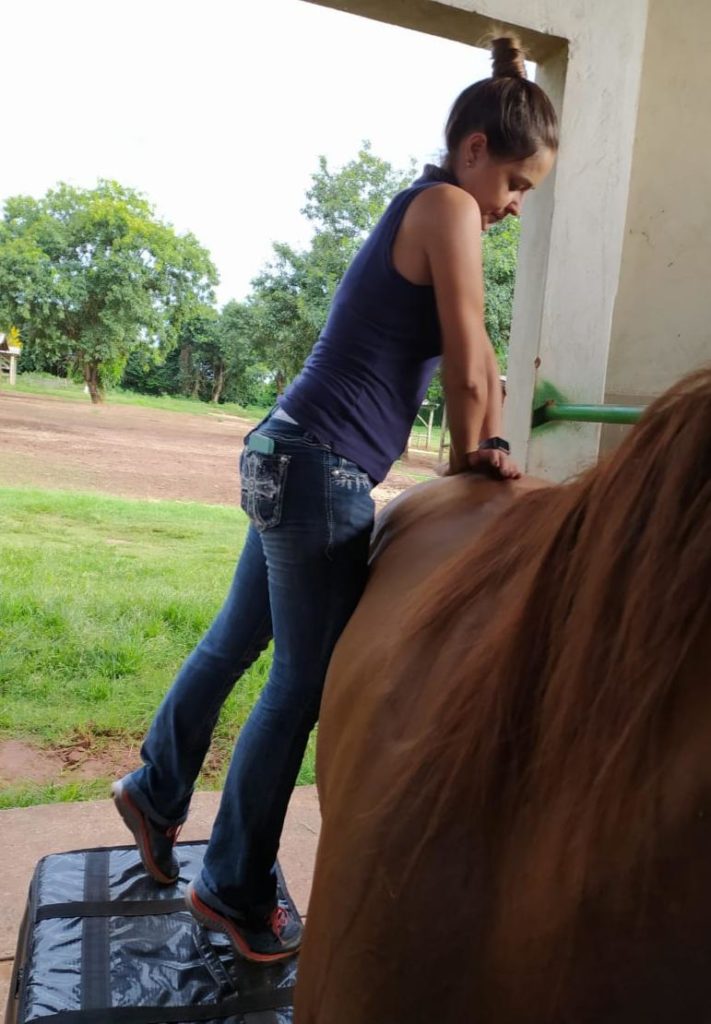 Fisioterapia e quiropraxia no cavalo atleta A fisioterapia e a quiropraxia já estão sendo usadas há algum tempo na medicina esportiva do cavalo atleta com resultados