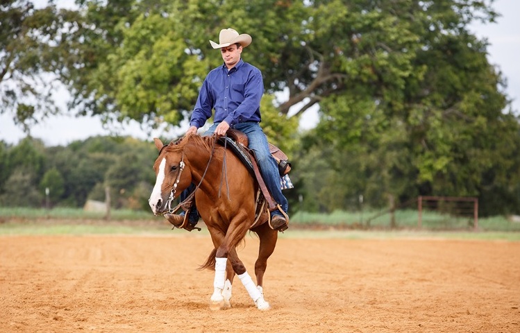 Mantenha seu cavalo de Rédeas condicionado Todo atleta precisa estar em condições ideais para competir. Os cavalos também