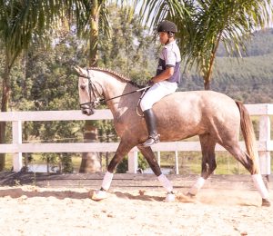 1º Leilão de Cavalos de Sela e Passeio obtém boas negociações