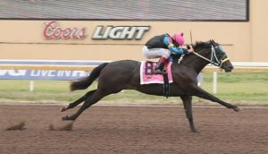 Queen For Cash vence clássico em Remington Park