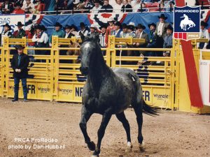 Relembrando o passado: PRCA recorda a final Nacional de 25 anos atrás