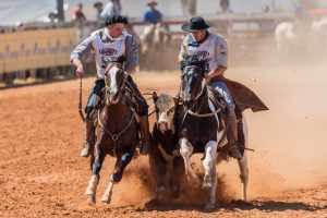 Ginetes mantêm ritmo de treino para retorno de ciclo de provas