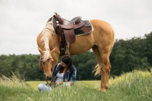 9 curiosidades sobre cavalos Palomino