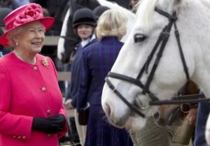 Rainha Elizabeth ‘dá’ palácio para seus cavalos ficarem durante a pandemia