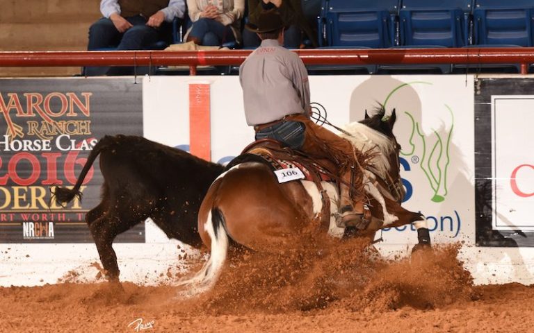 APHA Chrome Cash é expandido para os eventos da NRCHA
