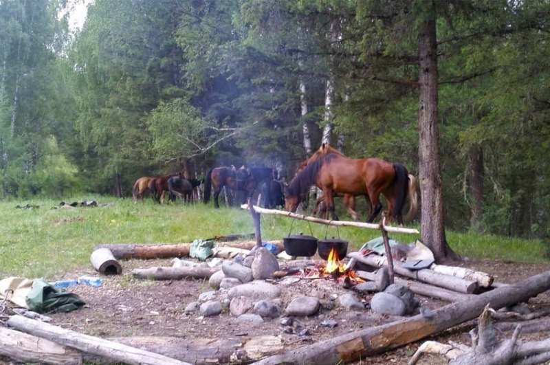 Cavalgada na Sibéria Paulo Junqueira conta na sua coluna da semana a respeito de uma cavalgada muito peculiar 
