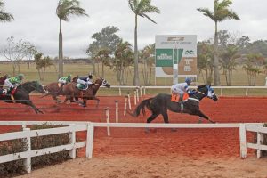 Com portões fechados, Jockey de Sorocaba reabre para corridas