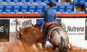 ApHC cancela 73º National Appaloosa Horse Show