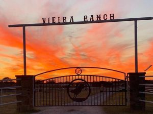 Fabiano Vieira recebe brasileiros em seu rancho no Texas