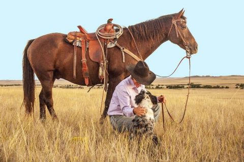 Horsemanship: feel, timing e balance