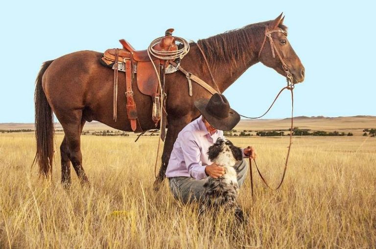Horsemanship: feel, timing e balance