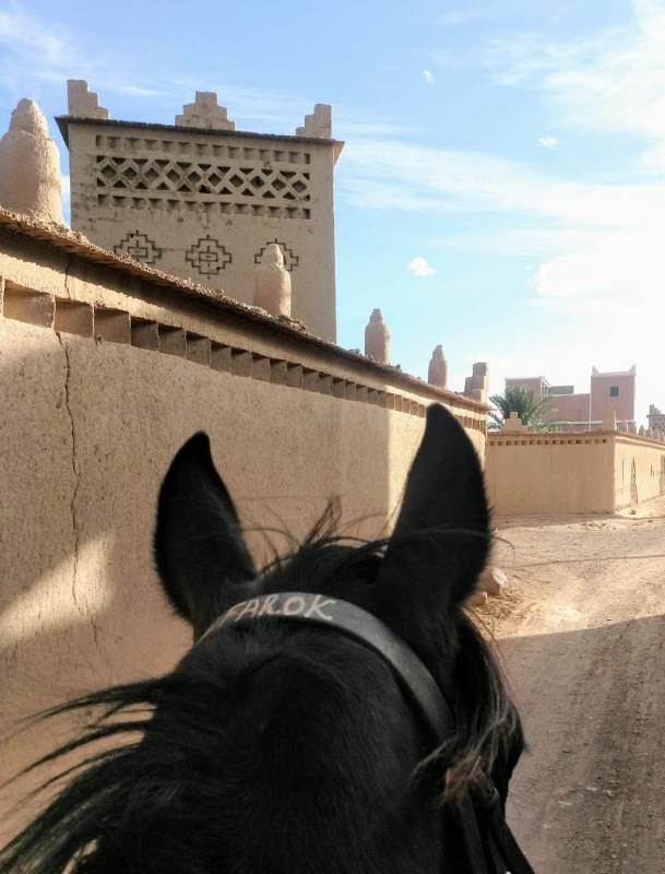 Long Ride – Grande Travessia no Marrocos  Paulo Junqueira conta no artigo da semana sobre a cavalgada de 26 dias e 875 quilômetros que está agendada para fazer no Marrocos