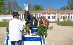 Donos de haras fazem cerimônia luxuosa para casar seus cavalos