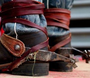 Audiência das lives de rodeio coloca nossos pés no chão