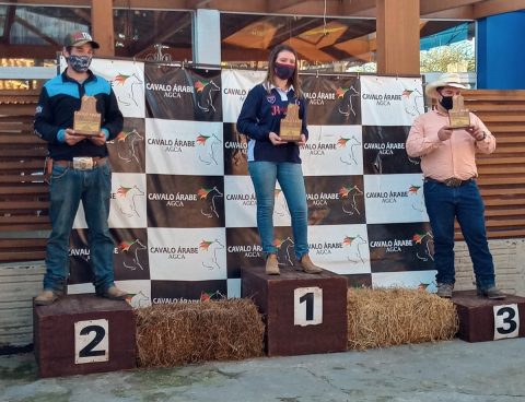 2ª etapa Domados do Pampa marca a retomada de provas do cavalo Árabe
